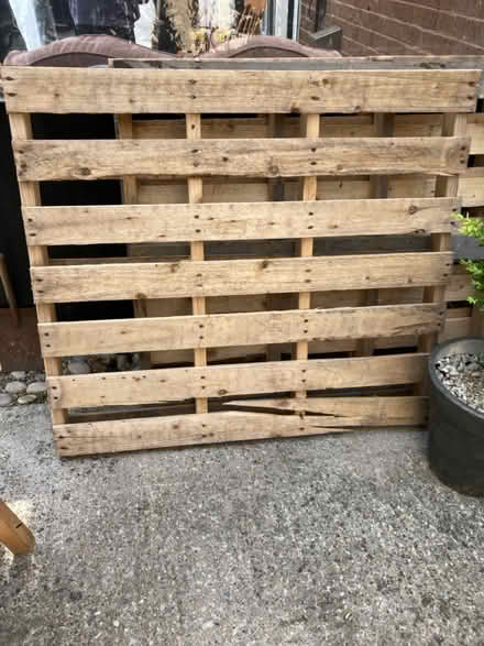 Photo of free 3x pallets (Drighlington) #1
