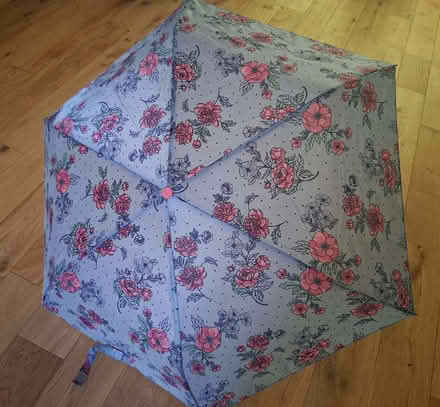 Photo of free Umbrella (Gleneagles area, Wboro NN8) #1