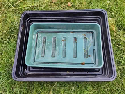 Photo of free Seed trays (Elswick NE4) #1