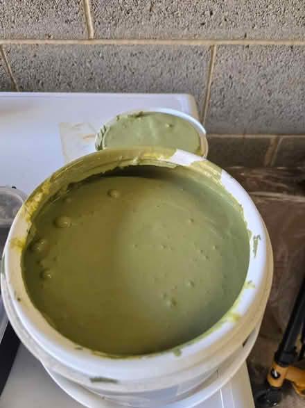 Photo of free Rugged Olive paint (Wrose BD2) #2