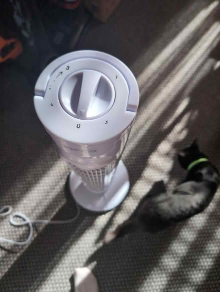 Photo of free Fan (Blackpool FY4) #2