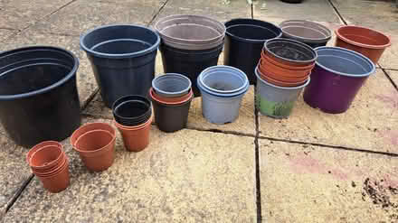 Photo of free Plastic pots in various sizes (S41. Chesterfield) #2