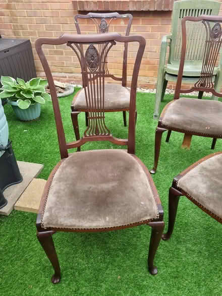 Photo of free Chairs (Maidstone ME15) #3