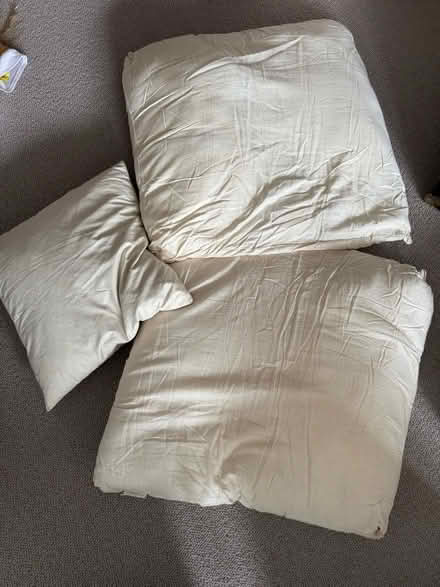 Photo of free 3 Cushion inserts (Southfields SW19) #1