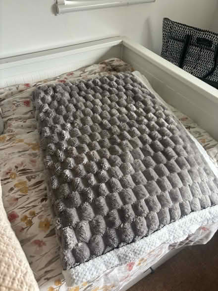 Photo of free Sofa pillows, bamboo memory foam pillow, double blanket (Brentford TW8) #4