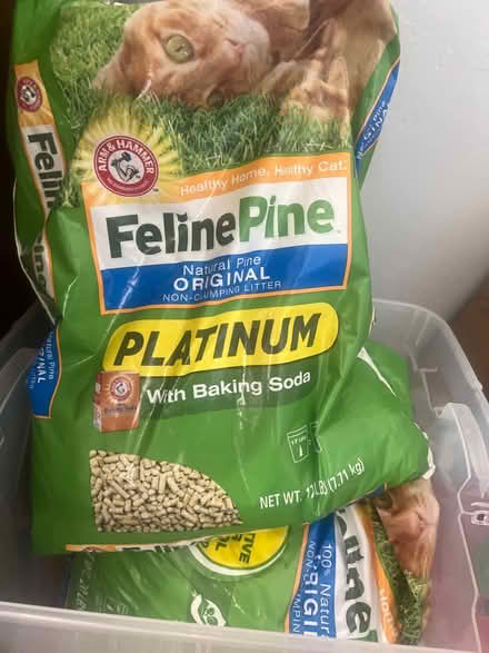 Photo of free Feline Pine (Homestead and Hollenbeck) #1