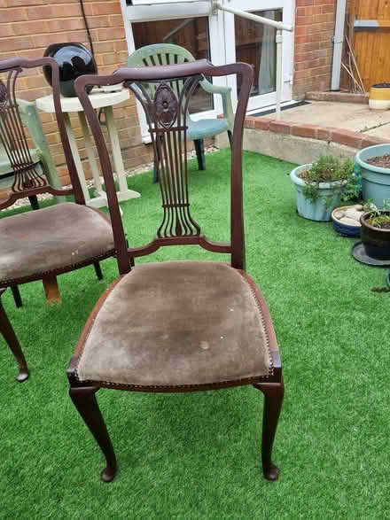 Photo of free Chairs (Maidstone ME15) #4