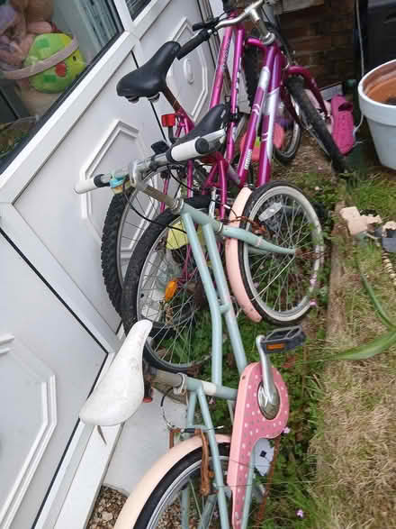 Photo of free Bikes (Bh89pl) #1