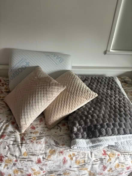 Photo of free Sofa pillows, bamboo memory foam pillow, double blanket (Brentford TW8) #1