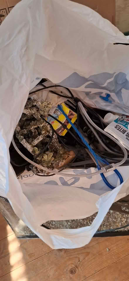 Photo of free Fish tank (Morecambe LA4) #2