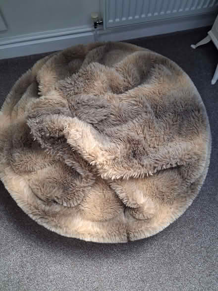 Photo of free Fake fur bean bag (Bowerham LA1) #2