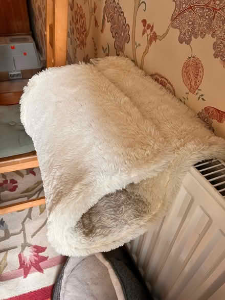 Photo of free Cat bed, barely used (Summertown OX2) #1