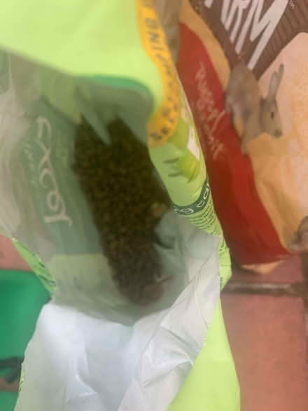 Photo of free Rabbit accessories - hay, feed, drinking bottles (Widmer End HP15) #4