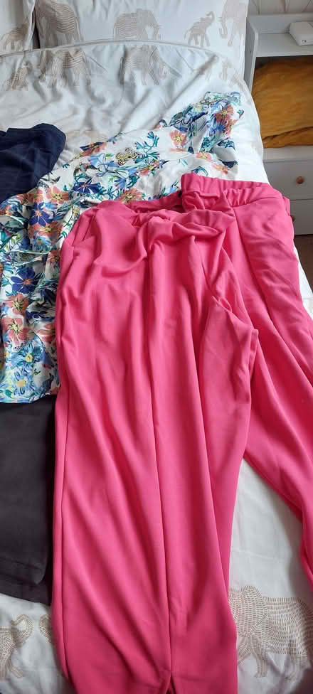 Photo of free Plus size 30 & 32 women's preloved clothing (South Norwood SE25) #2