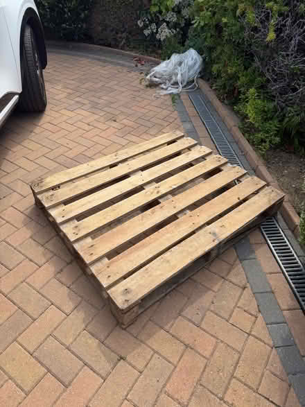 Photo of free Wooden pallet (Digswell AL6) #1