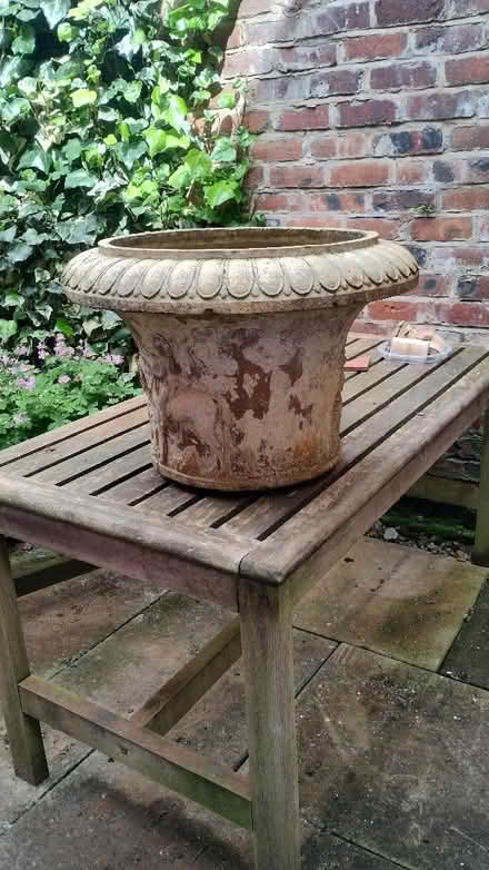 Photo of free Large terracotta planter (Oswestry SY11) #1