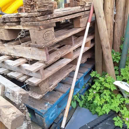 Photo of free Quantity of pallets (Kempston MK42) #1