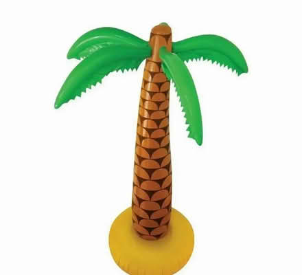 Photo of pool party items in inflatable palm trees Hawaii leis (Aldrington BN3) #1