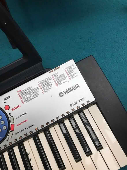 Photo of free Electronic keyboard (Five Oak Green TN12) #2