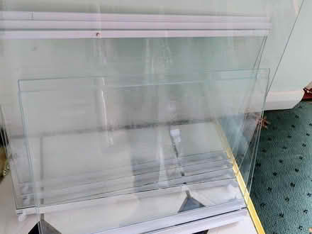 Photo of free Fridge shelves - glass (Felpham PO22) #1