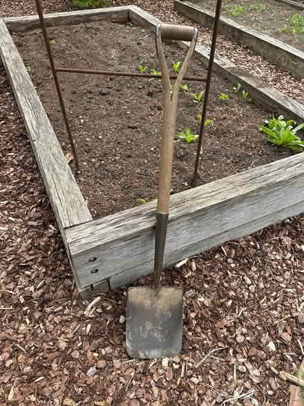 Photo of free Garden spade (Burpham, Guildford) #1
