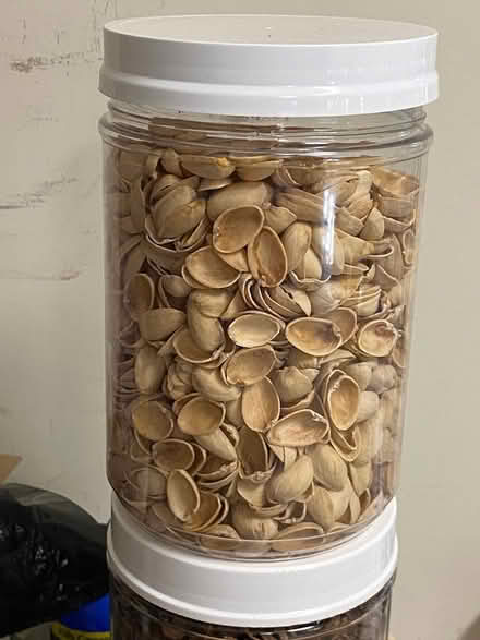 Photo of free pine cones & pistachio shells (Dunlora) #1