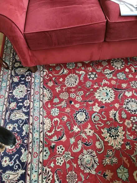 Photo of free Oriental Rug (Wormans Mill Frederick) #1