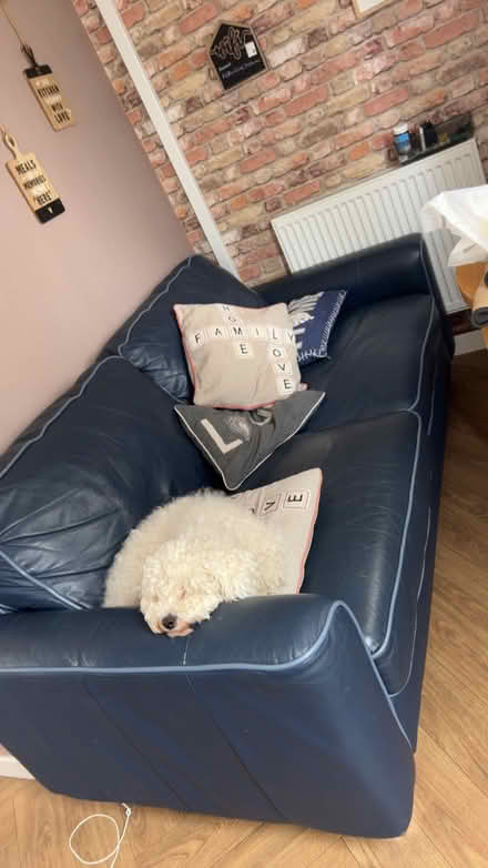 Photo of free Blue sofa (Belle Isle LS10) #1