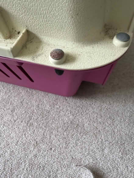 Photo of free Pet carrier, medium dog (Kinsbourne Green) #3