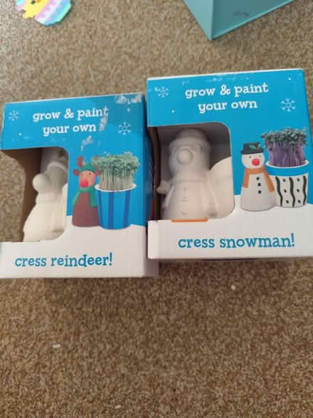 Photo of free Paint your own Xmas cress heads (Co2 st michaels) #1