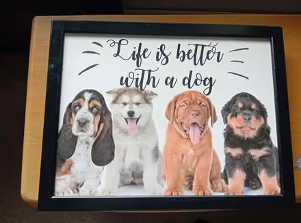 Photo of free Lap tray (dogs picture) (Colchester CO2) #1