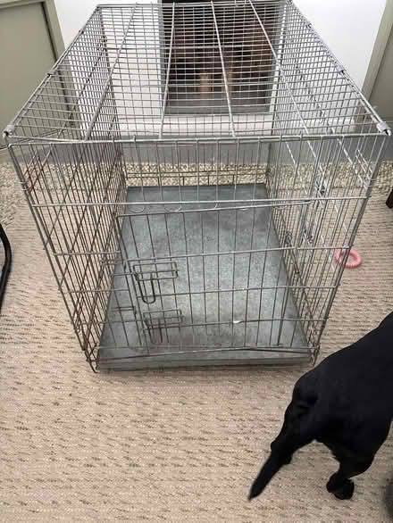 Photo of free Large dog crate (Leighton Buzzard LU7) #1
