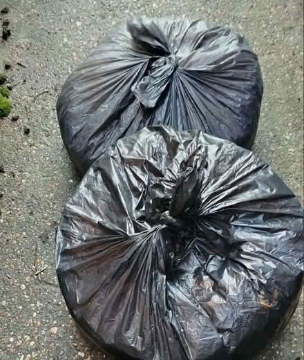 Photo of free Cross shredded paper (Witham CM8) #1