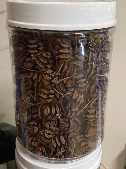 Photo of free pine cones & pistachio shells (Dunlora) #2