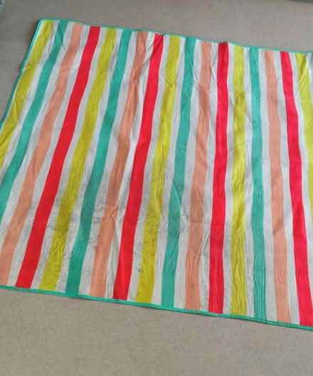 Photo of free Picnic blanket (east twickenham) #2