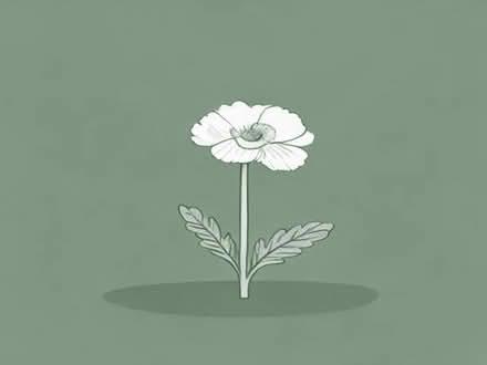 Photo of free marsh marigold (IP4) #1