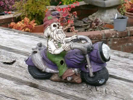 Photo of free Skeleton on motorbike (Brownhill SY4) #1
