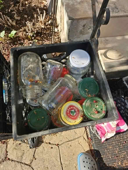 Photo of free Many Jars. Most with lids (Dunning, Chicago) #2