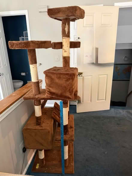 Photo of free 6 foot cat tree (Somerset, NJ) #2