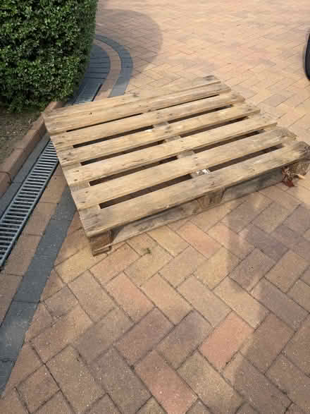 Photo of free Wooden pallet (Digswell AL6) #2