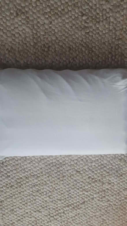 Photo of free Memory Foam Pillow (Hove BN3) #1