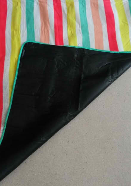 Photo of free Picnic blanket (east twickenham) #3