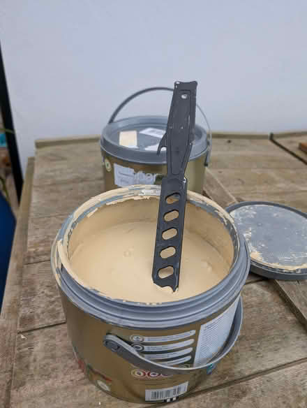 Photo of free paint (Wistaston CW2) #1