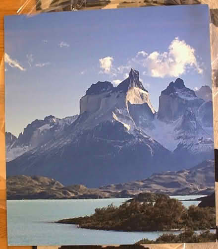 Photo of free Patagonia posterboard (Foster & California Ave) #1