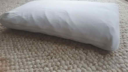 Photo of free Memory Foam Pillow (Hove BN3) #2