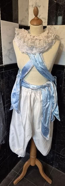 Photo of free Pirate, genie, festival, carnival costume items (Hollinswood TF3) #3