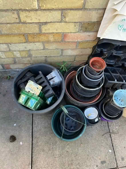 Photo of free Plant pots/ liners - more added (Foxton) #4