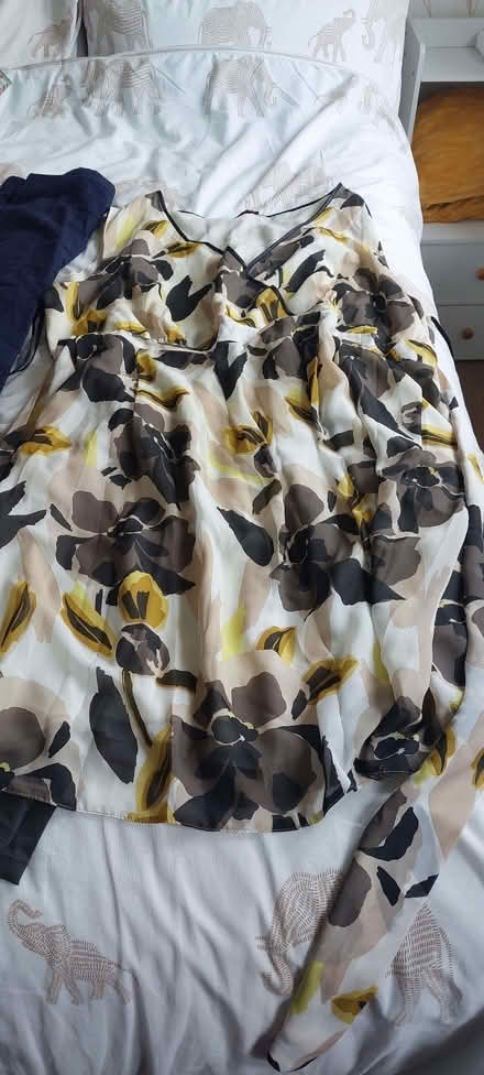 Photo of free Plus size 30 & 32 women's preloved clothing (South Norwood SE25) #1