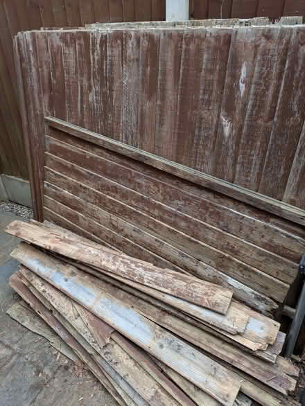 Photo of free Wood from old painted fence panels (Edwalton NG12) #1