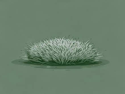 Photo of Artifical grass (Newfield Green S14) #1